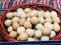 -甘家界牌柠檬鸭(青山店)
