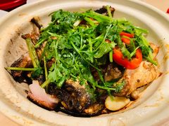 -避风塘(宝山万达店)