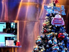 -bluefrog蓝蛙(皇庭广场店)
