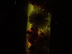 -花马天堂云南餐厅 Lost Heaven(高邮路店)