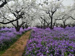 -江苏三台山国家森林公园