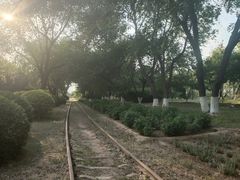 -永定河休闲森林公园