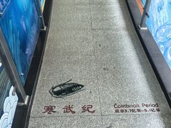 -中国第四纪冰川遗迹陈列馆