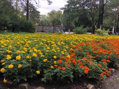 -黑龙江省森林植物园