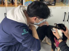 -瑞派长江宠物医院·猫科·外科·24小时夜护(谊城公寓分院)