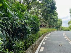 -大屏嶂森林公园