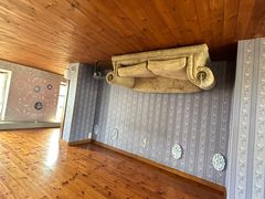 -金山农民画村-枫泾波兰倒置屋