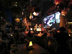 -胡桃里音乐酒馆(石家庄店)