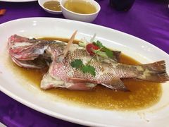 -新海利海鲜城·41年珠海老字号(夏湾店)