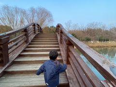 -苏州太湖国家湿地公园