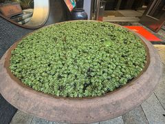 -瓯菜排档·温州海鲜(玕南店)
