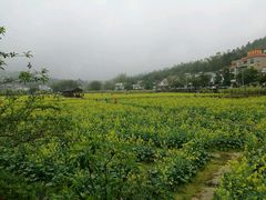 -红山村