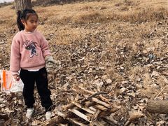 -盘龙城国家考古遗址公园