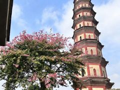-广州莲花山旅游区