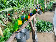 -南宫五洲植物乐园