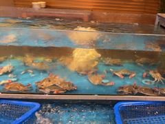 -盛宴自助餐厅(运达喜来登店)