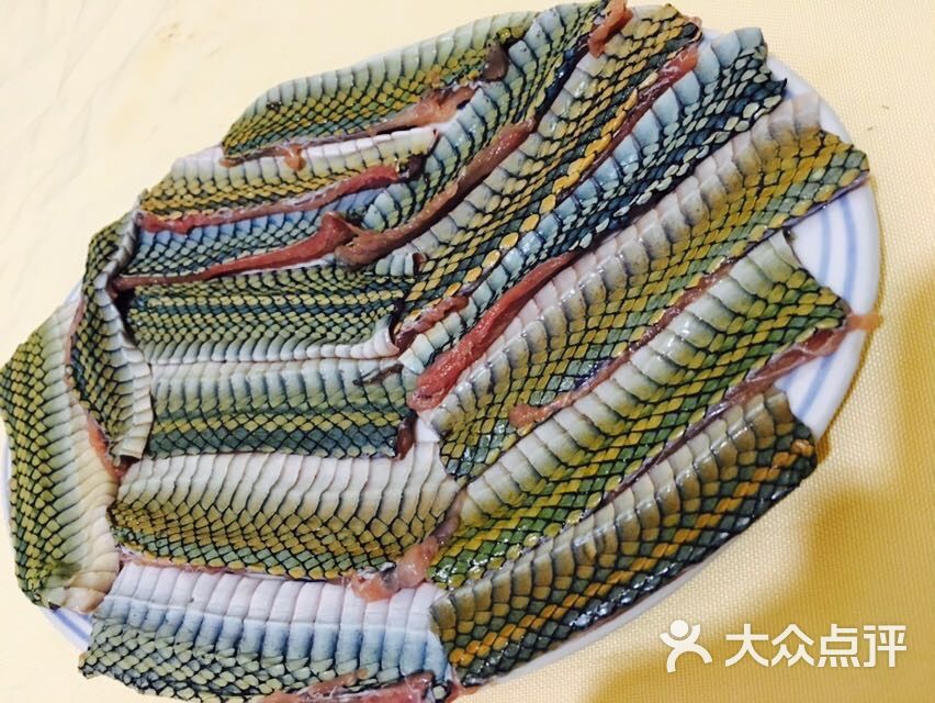 金龙蛇料理(武进路店)图片 - 第2089张