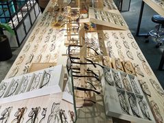 -Trend1881视光·蔡司视觉(领展广场店)