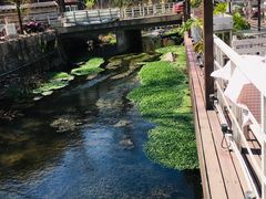 -Local泰莲庭(虹鳟鱼店)