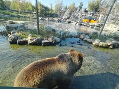 -北京野生动物园