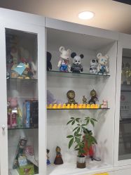 -学舞岛·成人少儿舞蹈培训