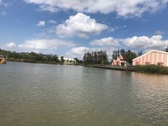 -上海长兴岛郊野公园