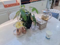 -哈喽美妈产后恢复中心(乐堤港店)