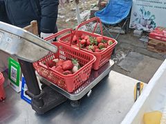 -大自然农场蔬菜草莓采摘园