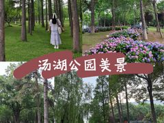 -汤湖公园