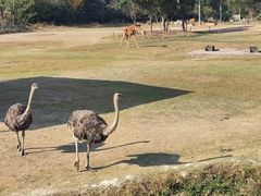 -宁波野生动物园