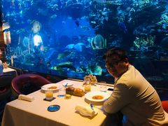 -迪拜帆船酒店海底餐厅