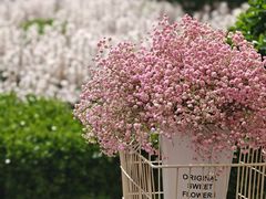 -VENCHI 闻绮(上海佛罗伦萨小镇店)