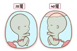 -邢台妇产医院