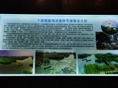 -下渚湖国家湿地公园科普馆