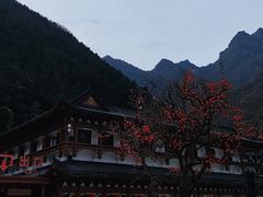 -秦岭天竺山生态文化旅游景区