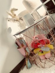 -YIMEI ART半永久纹眉·野生眉