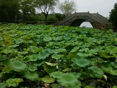 -高子水居