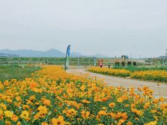 -光明小镇欢乐田园