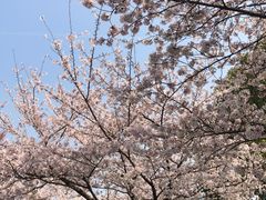 -堤角公园