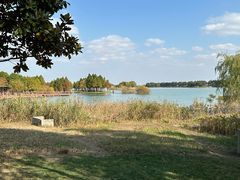 -贡湖湾湿地公园