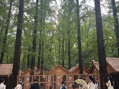 -紫金山山顶公园
