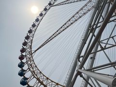 -石家庄市动物园