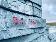 -郭莽湿地