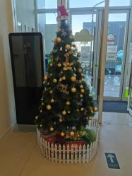 -青苗儿童口腔(长楹天街购物中心)