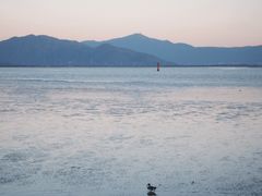 -深圳湾公园(南山区)
