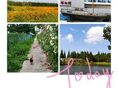 -上海长兴岛郊野公园