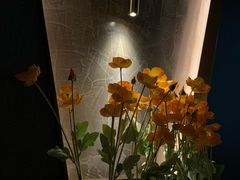 -鸿韵养生(白玉兰店)
