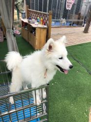 -萌宠亲子动物乐园(槐房万达店)