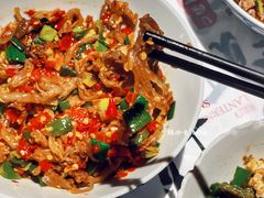 鸭掌筋-壹盏灯(蚂蚁工房店)