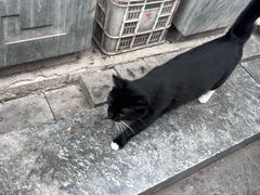-陈记卤煮小肠